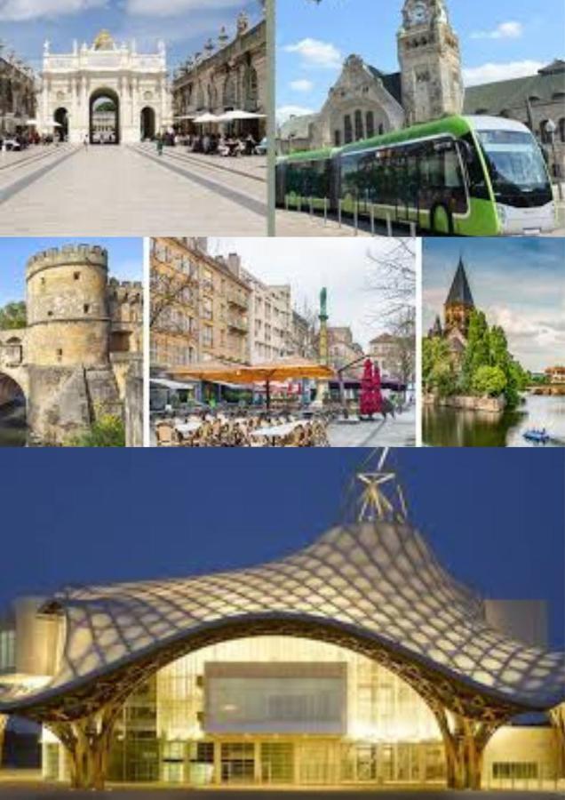 Le Muse Quartier Ville Proche Transport Parking Prive Un-Sejour-A-Part メス エクステリア 写真